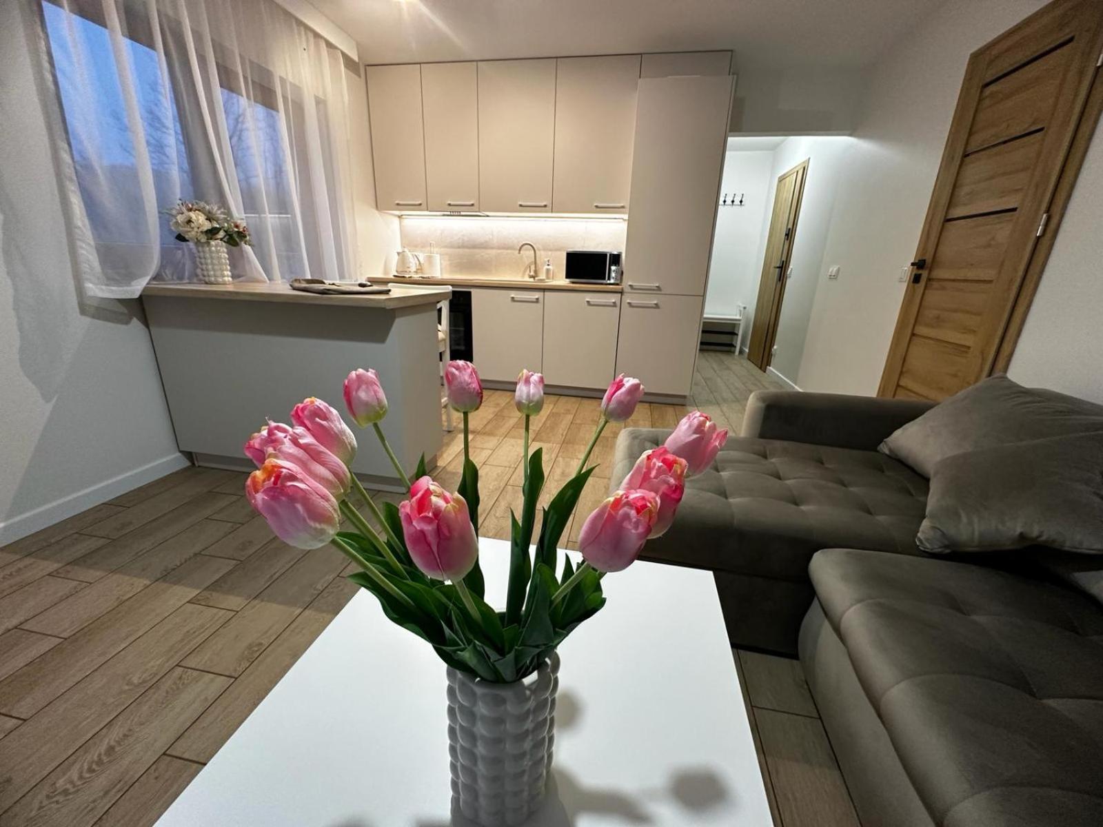Biala Gran Apartment Zakopane